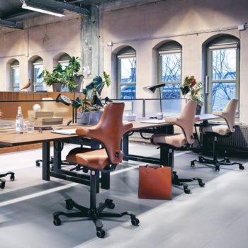 HAG Capisco 8106 chaise de bureau ergonomique luxembourg 3